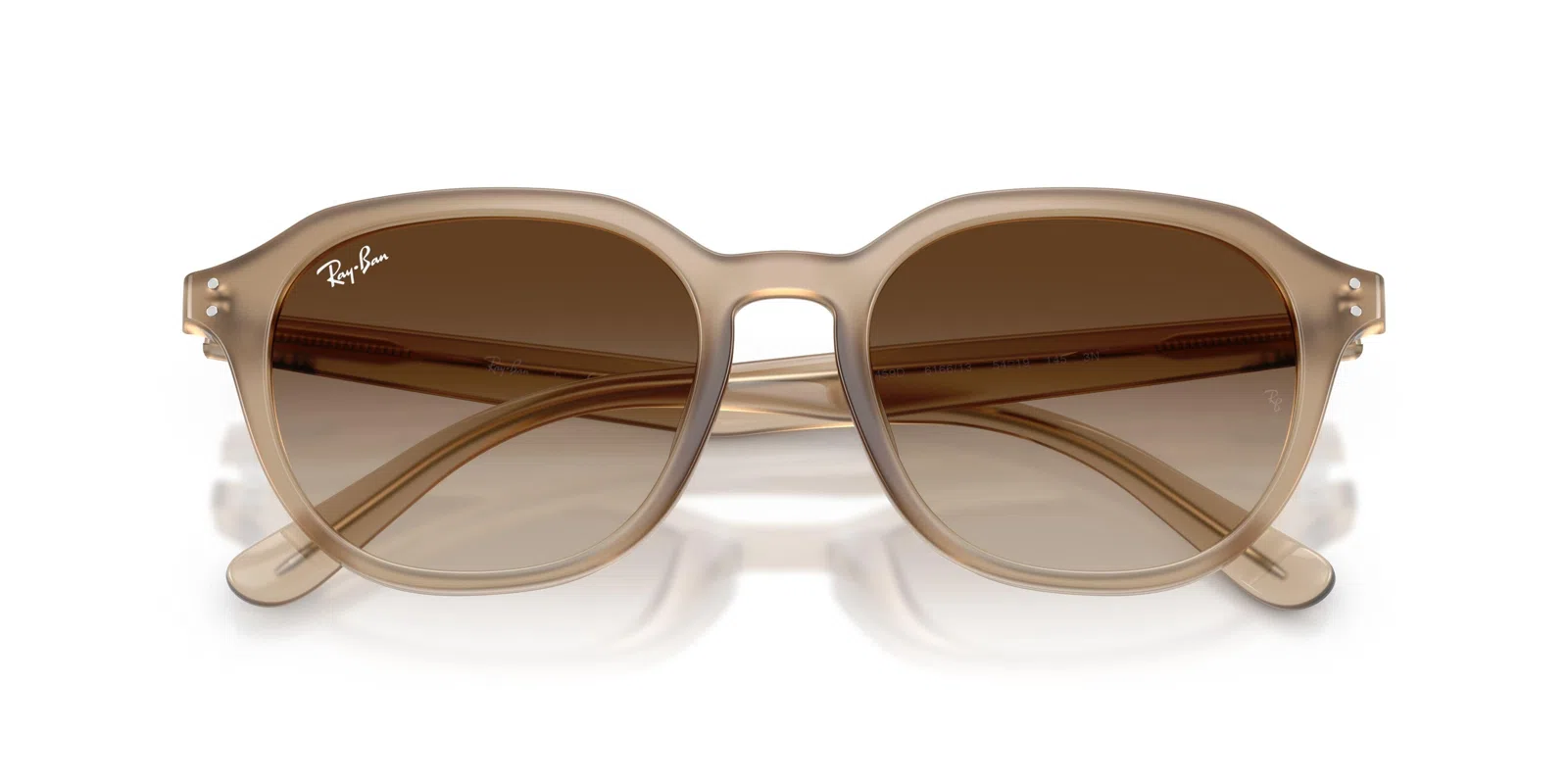 Ray-Ban 4459D Sunglasses - view 35